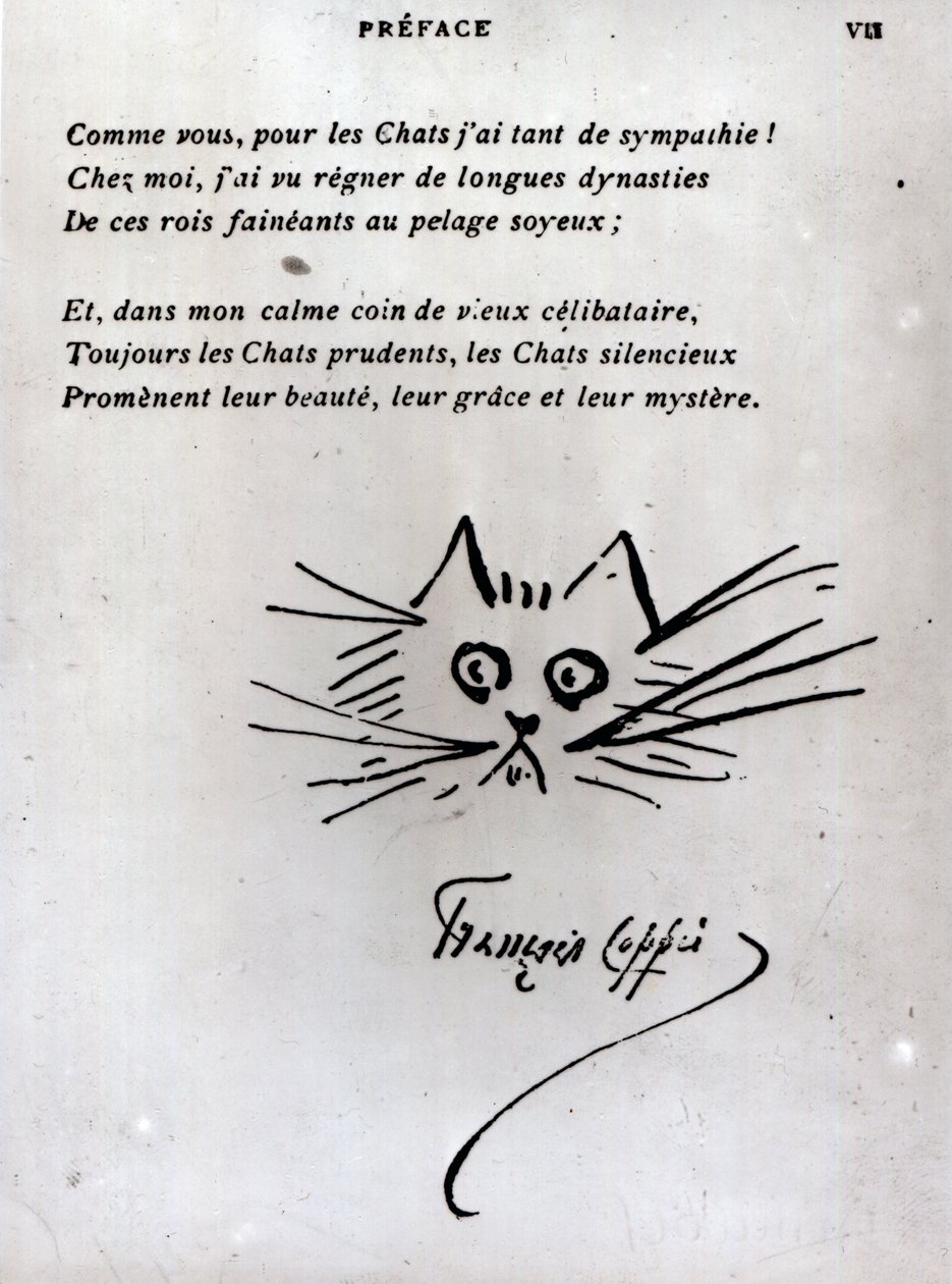 Głowa kota, ilustracja do wiersza Francois Coppee (pióro i atrament na papierze) autorstwa Francois Coppee