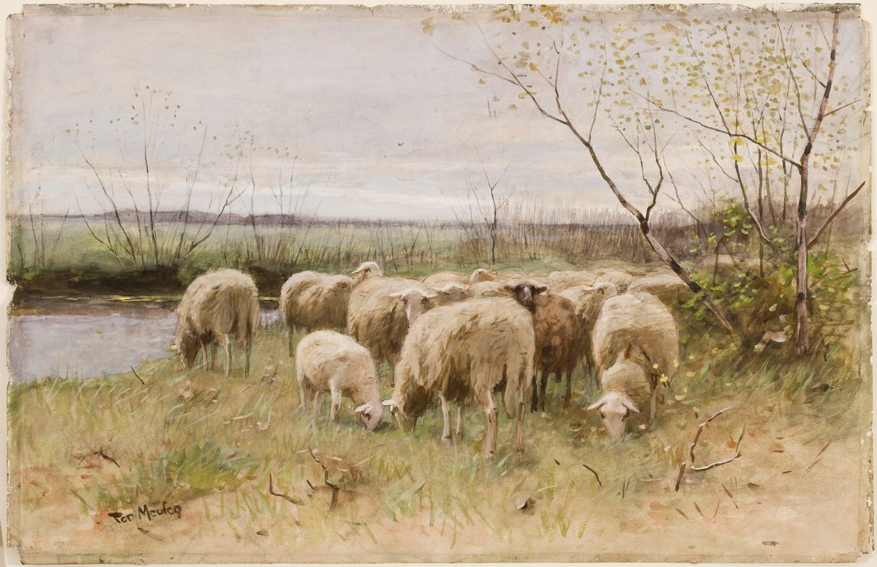 Owce autorstwa Francois Pieter ter Meulen
