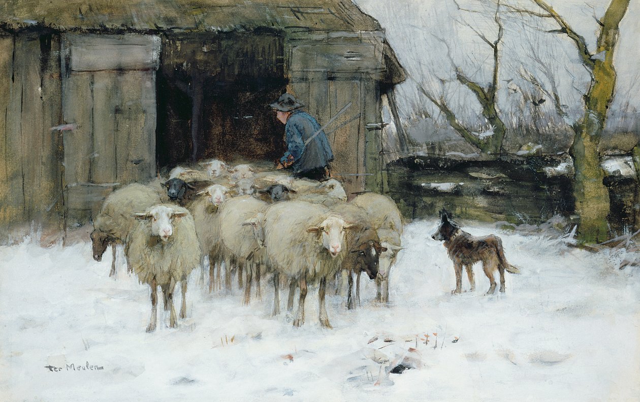 Owce w zimowy poranek autorstwa Francois Pieter ter Meulen