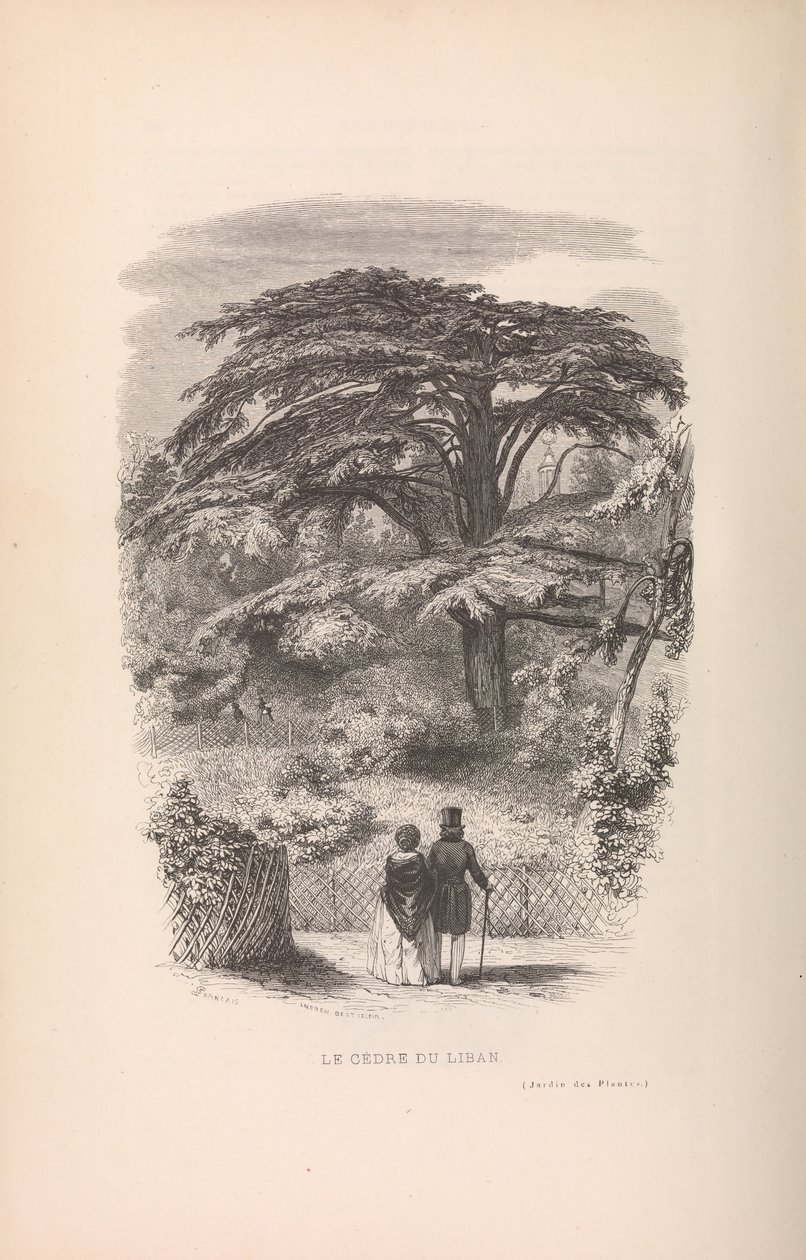 Ogród Botaniczny, Opisy i maniery ssaków, 1842. autorstwa Francois Boitard