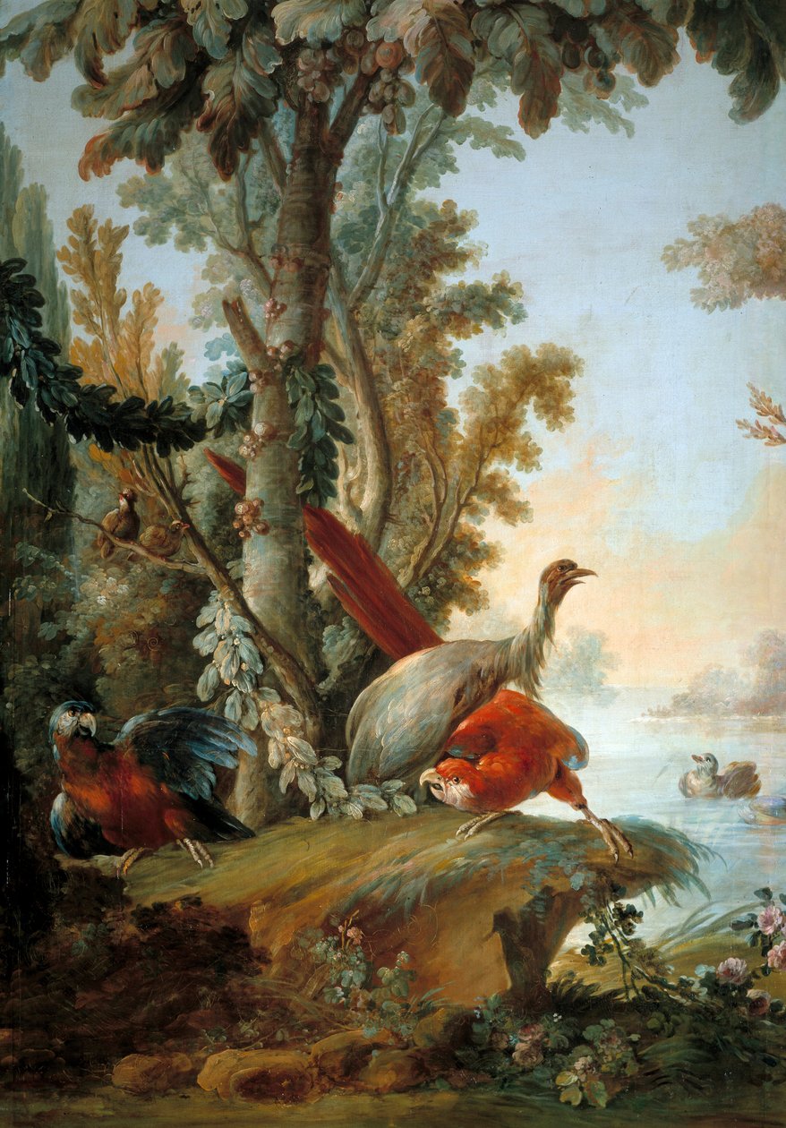 Czaple i papugi Obraz Francois Bouchera (1703-1770) autorstwa François Boucher