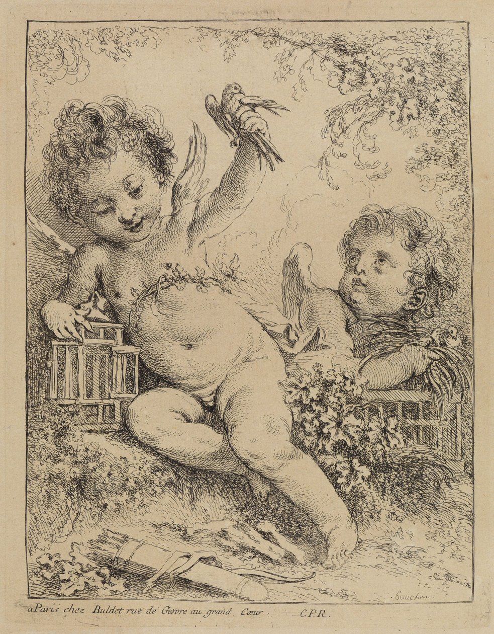 Turkawka w klatce autorstwa François Boucher