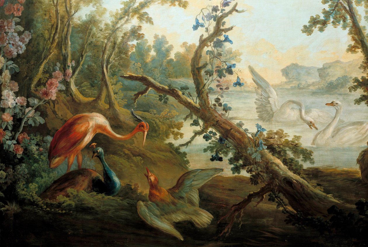 Łabędzie i pawie Obraz Francois Bouchera (1703-1770) XVIII-wieczny Paryż, Musee Carnavalet autorstwa François Boucher