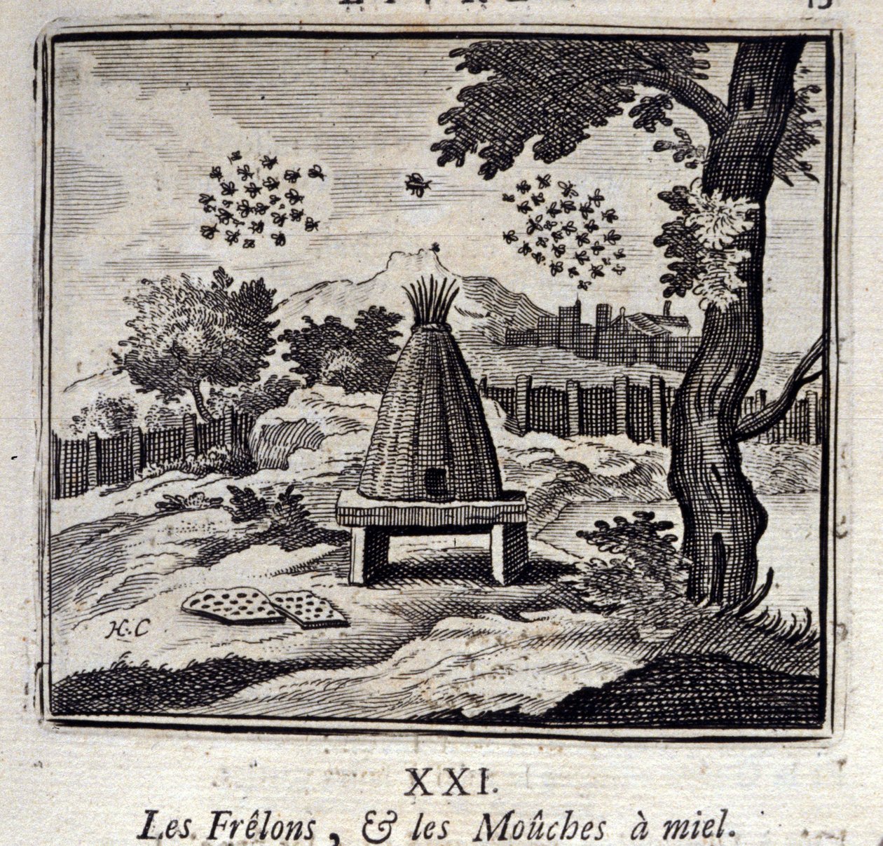 Szerszenie i muchy miodowe. Bajki Jean de La Fontaine (1621-95). Ilustracja Francois Chauveau (1613-1676). Wydanie z 1728 r. autorstwa Francois Chauveau