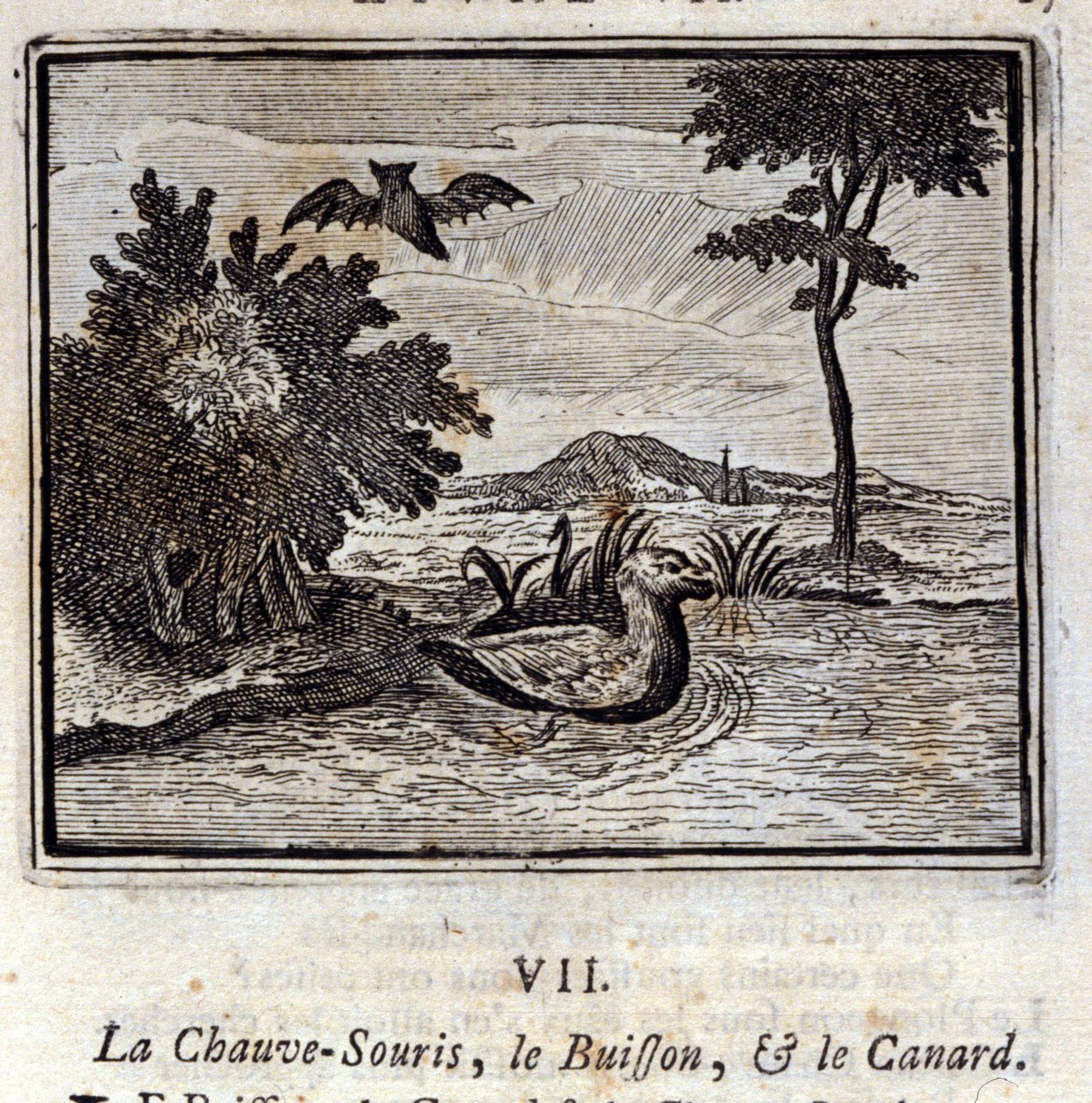 Nietoperz, krzak i kaczka. Bajki Jean de La Fontaine (1621-95). Ilustracja François Chauveau (1613-1676). Wydanie z 1728 r. autorstwa Francois Chauveau