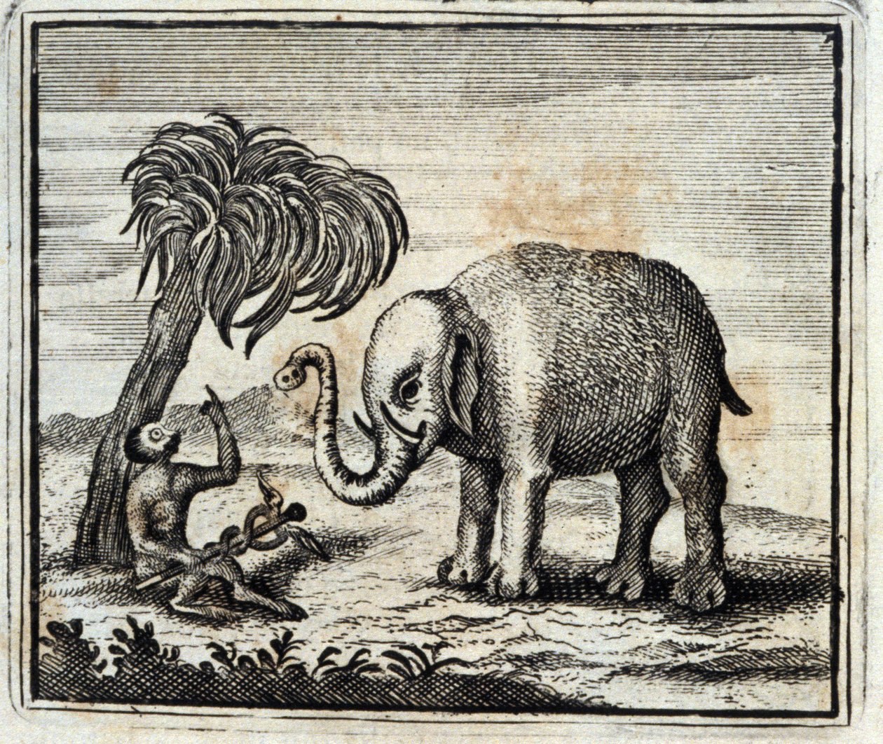 Słoń i Małpa Jowisza. Bajki Jean de La Fontaine (1621-95). Ilustracja François Chauveau (1613-1676). Wydanie z 1728 r. autorstwa Francois Chauveau