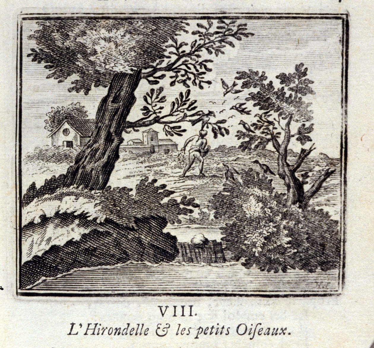 Jaskółka i małe ptaszki. Bajki Jean de La Fontaine (1621-95). Ilustracja François Chauveau (1613-1676). Wydanie z 1728 r. autorstwa Francois Chauveau