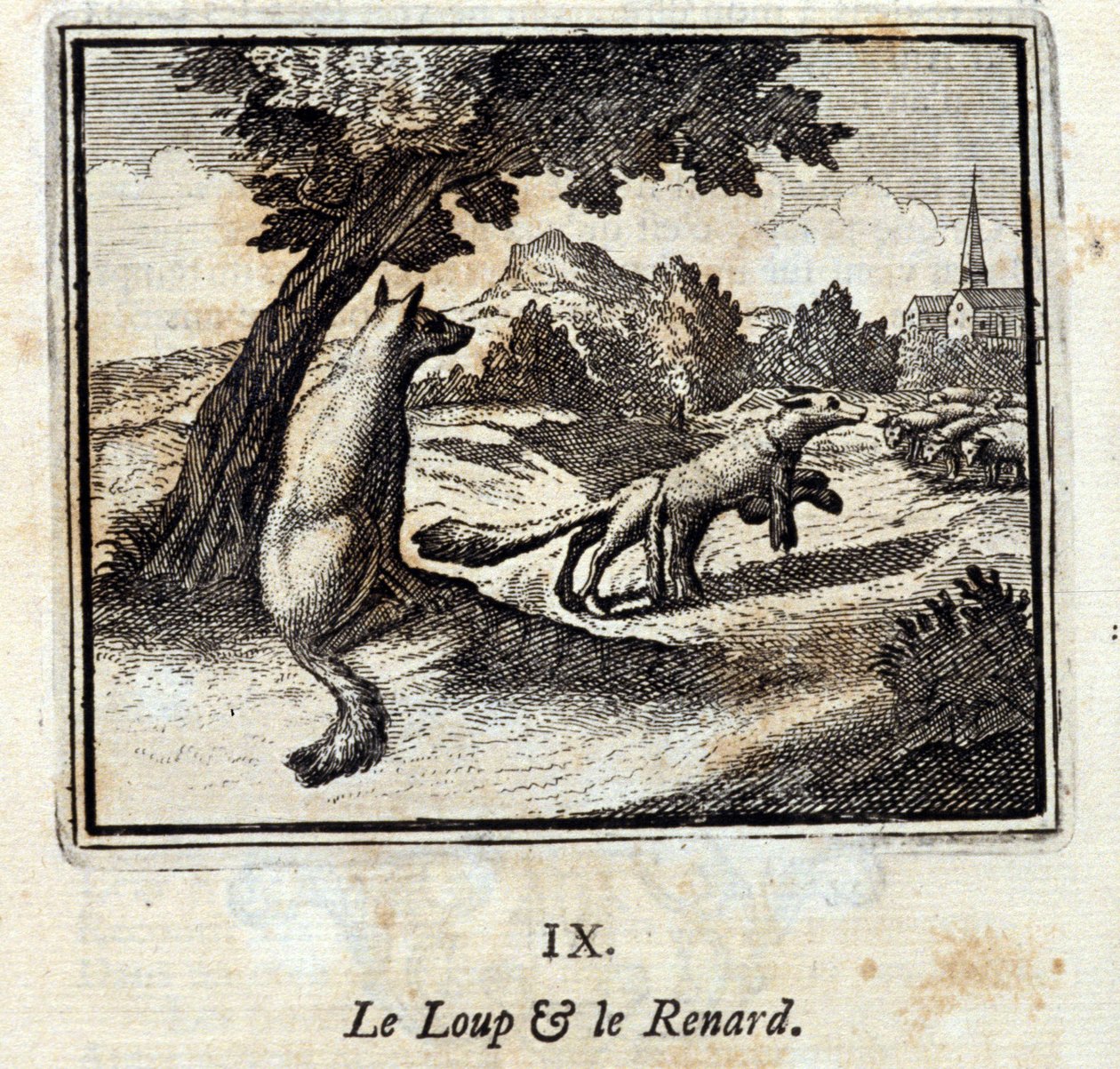 Wilk i lis. Bajki Jean de La Fontaine (1621-95). Ilustracja François Chauveau (1613-1676). Wydanie z 1728 r. autorstwa Francois Chauveau