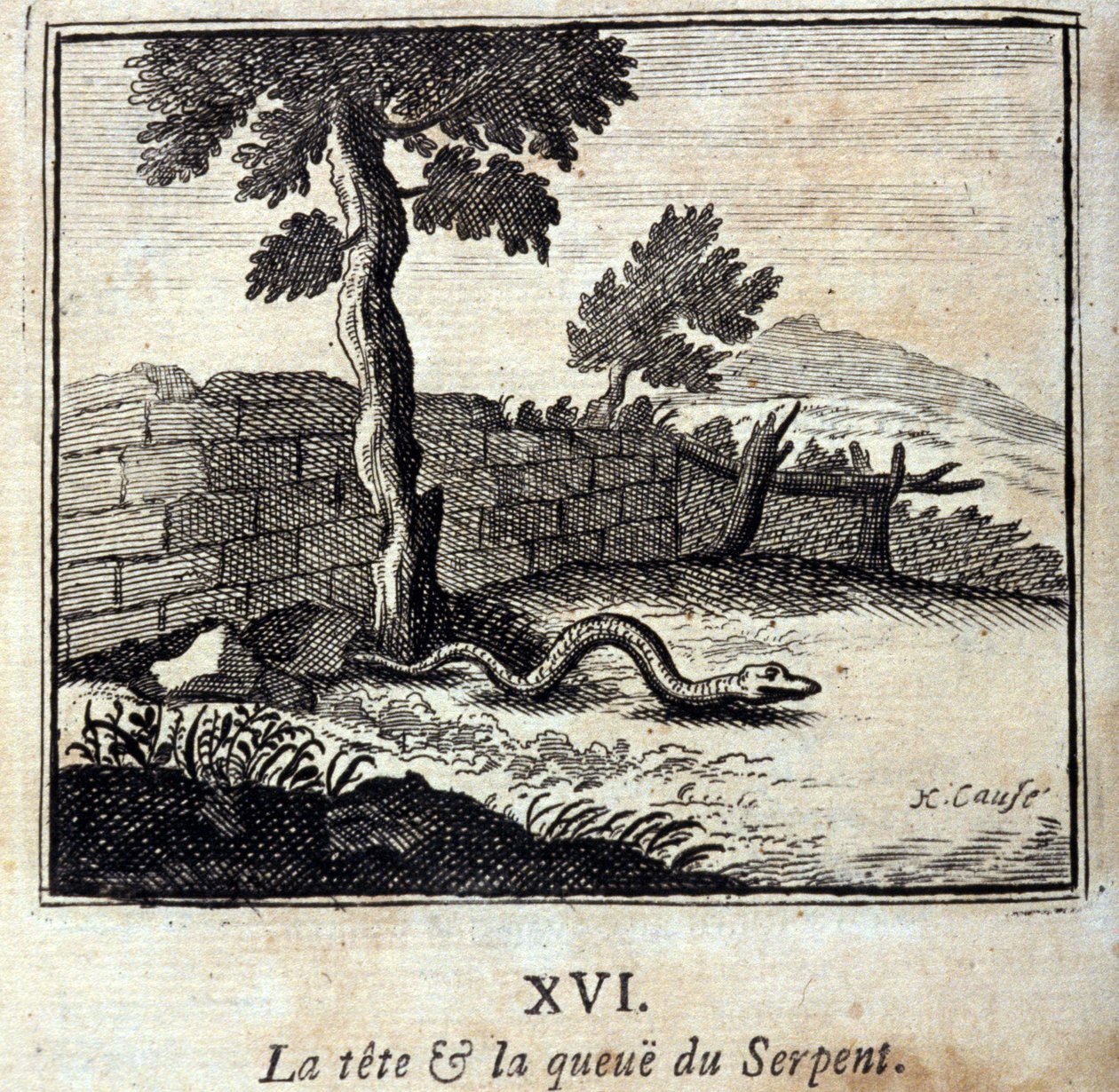 Głowa i ogon Węża. Bajki Jean de La Fontaine (1621-95). Ilustracja autorstwa François Chauveau (1613-1676). Wydanie z 1728 r. autorstwa Francois Chauveau