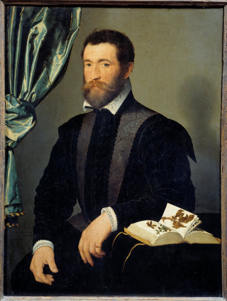Portret aptekarza Pierre Quthe (1519-apre 1588) Obraz Francois Cloueta (1515-1572) 1562 Nd. 0,91x0,7 m - Portret aptekarza Pierre