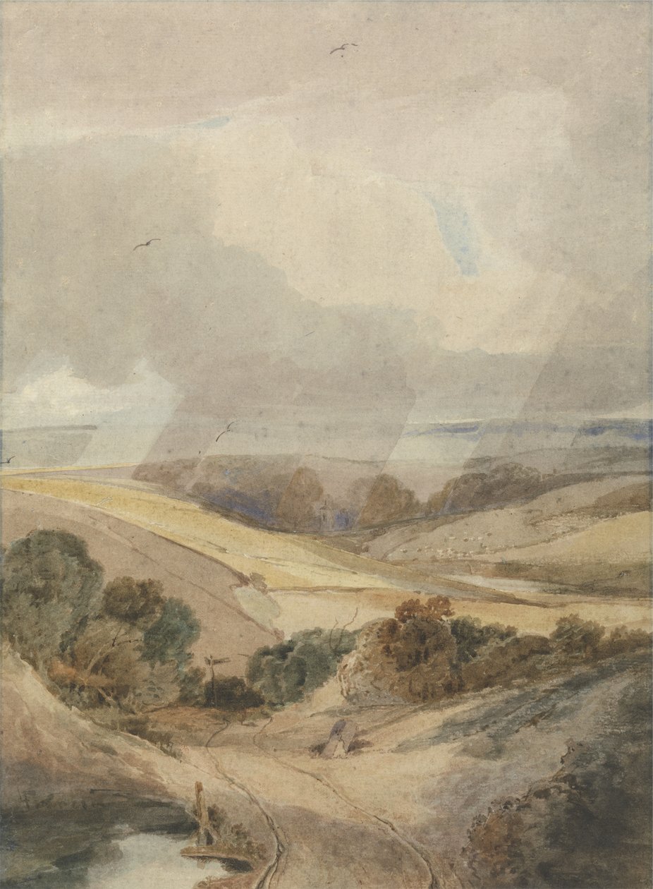 Mousehold Heath, Norwich, 1808 (wc na papierze wykładanym) autorstwa Francois Louis Thomas Francia