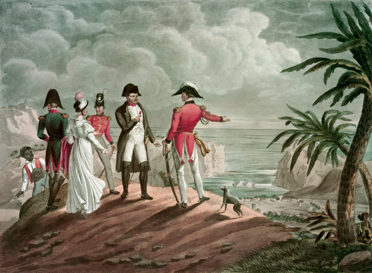 Bonaparte na św. Helenie (rycina stalowa) autorstwa Francois Nicolas Martinet