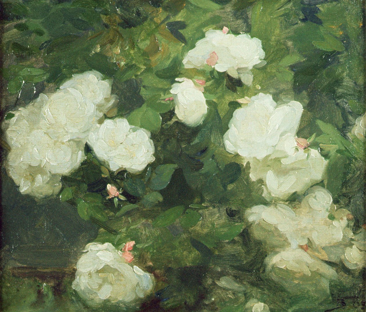 Białe róże autorstwa Frank Bramley