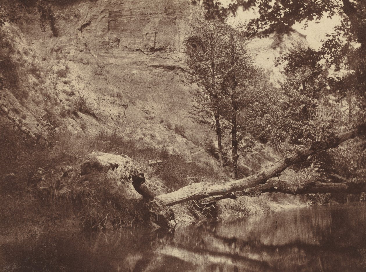 Brzeg rzeki, ok. godz. 1855. autorstwa Frank Chauvassaigne