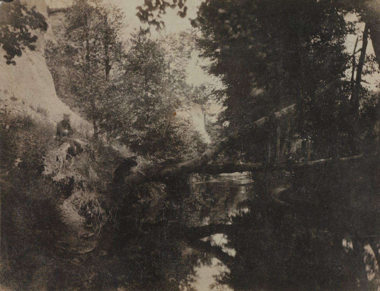 Krajobraz z postacią siedzącą na brzegu potoku 1856. autorstwa Frank Chauvassaignes