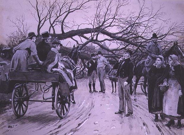 Zwalone drzewo autorstwa Frank Dadd