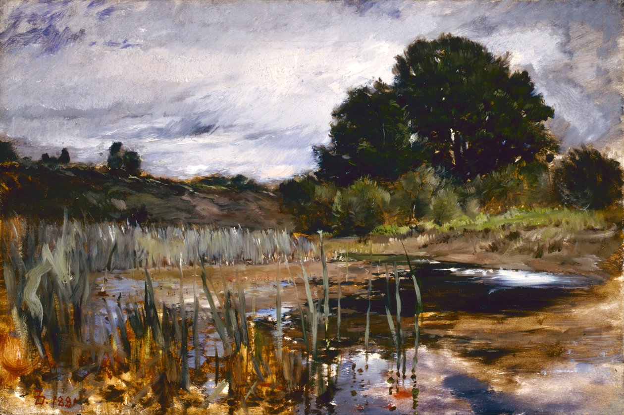 Krajobraz głosowania autorstwa Frank Duveneck