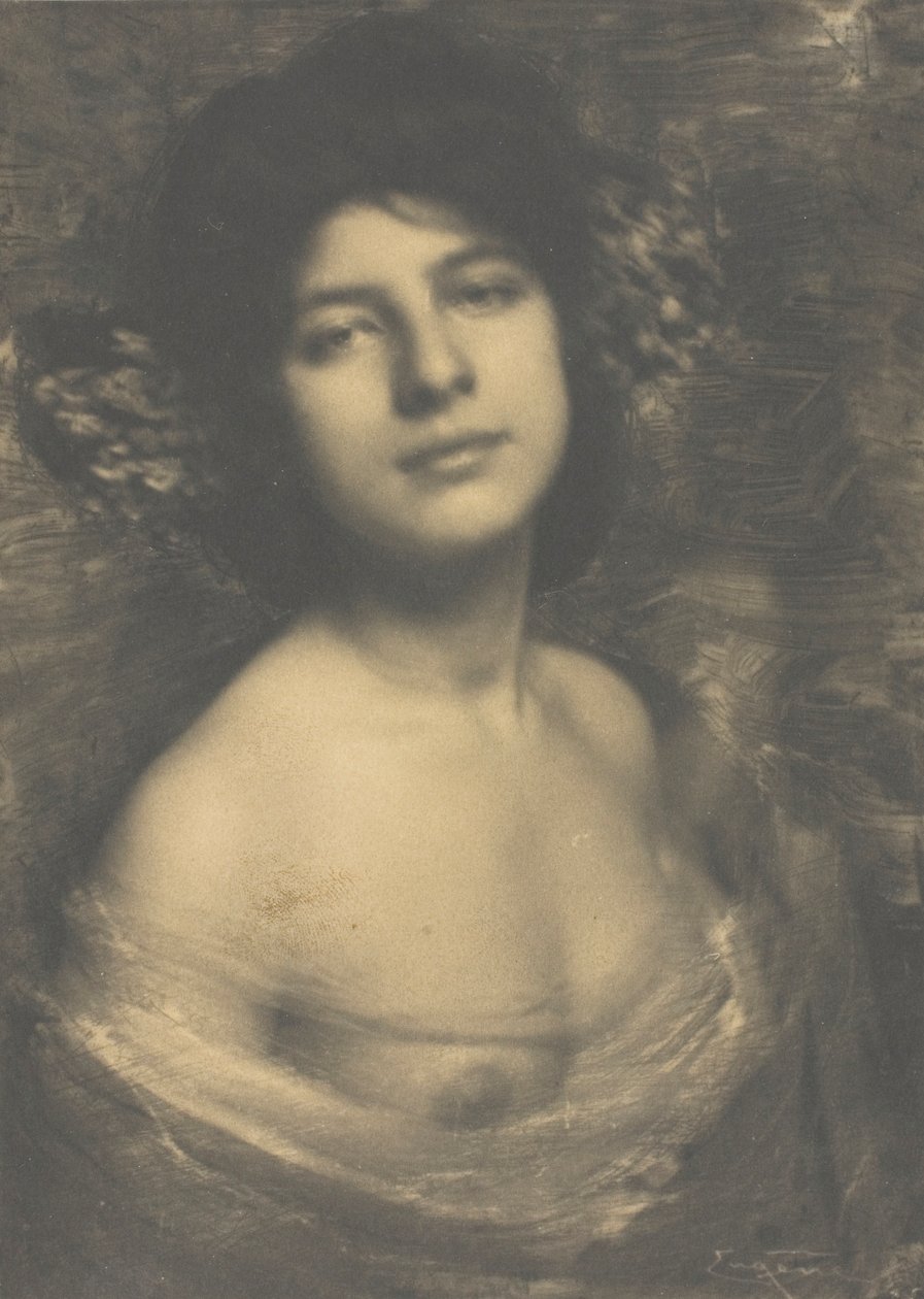 Hortensja, 1898. autorstwa Frank Eugene