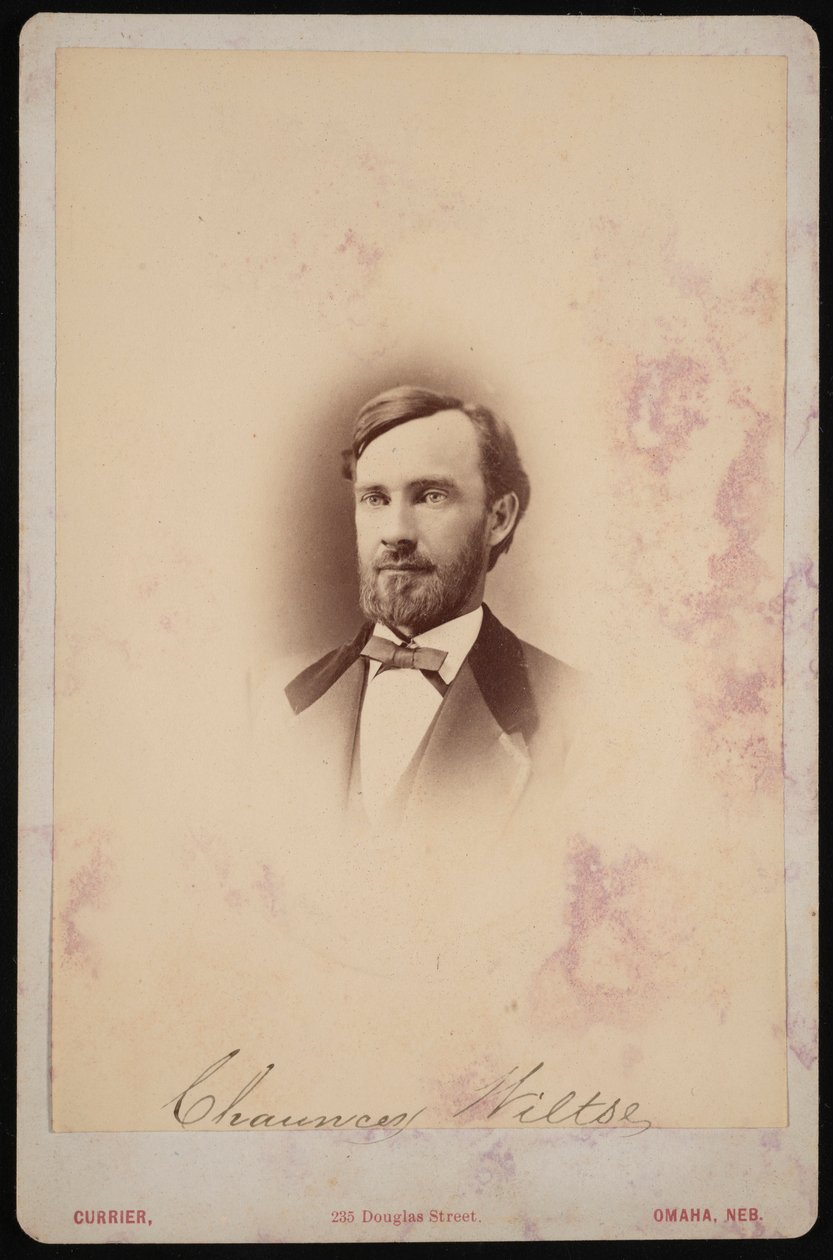 Portret Chauncey Wiltse 1834-1894, 1875-1876. autorstwa Frank F Currier