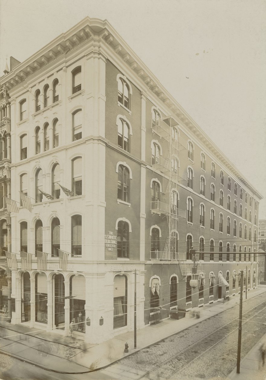 SS White Building (druk albumowy) autorstwa Frank Hamilton Taylor