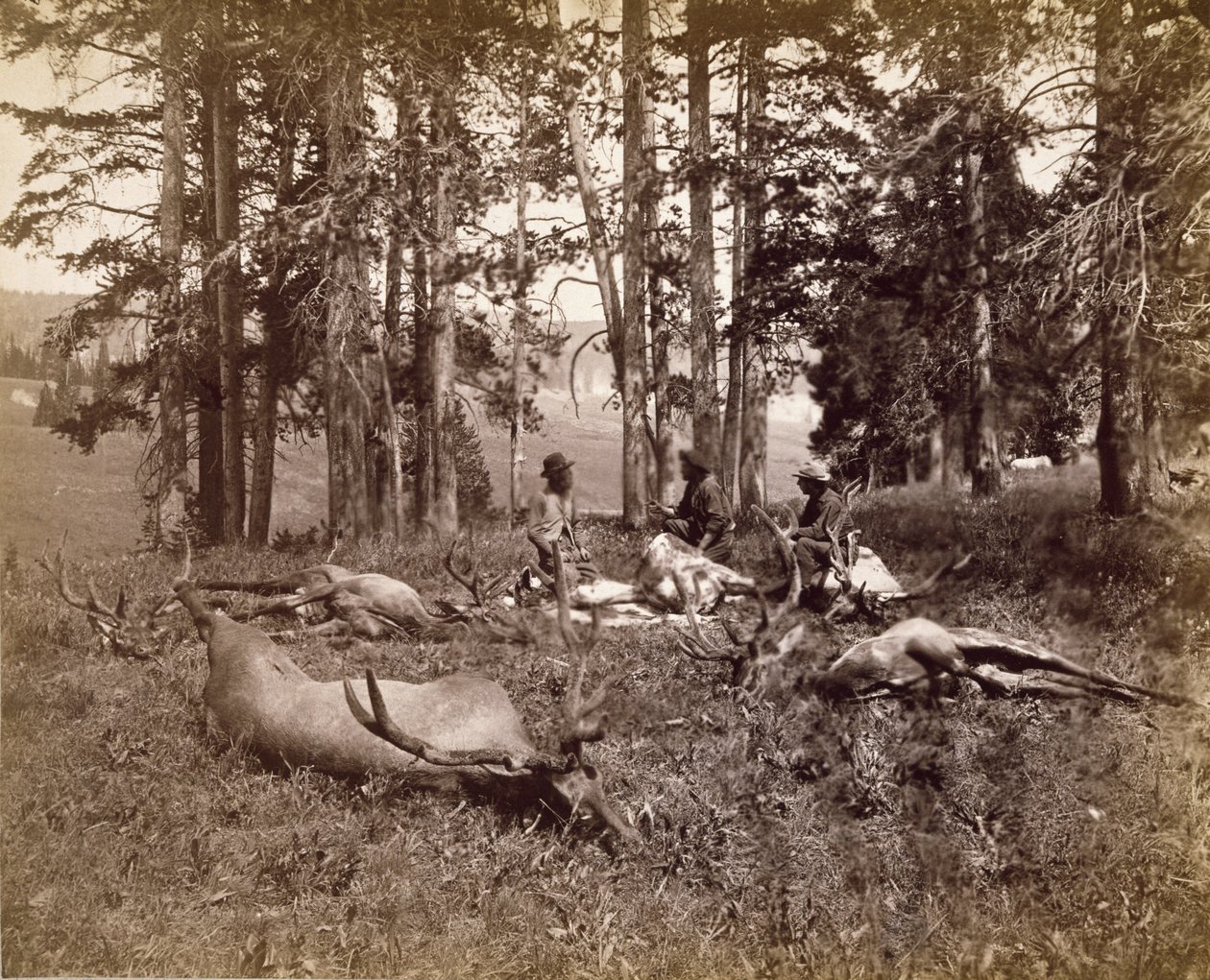 Łowcy łosi, Yellowstone, ok.1880 (srebrodruk albumu) autorstwa Frank Jay Haynes