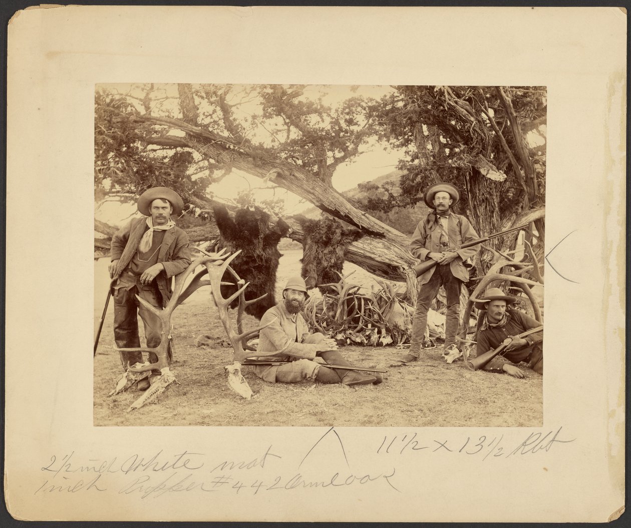 Lispenard Stewart Party, #6 - 5th Ave., N.Y. z trofeami przy starym drzewie cedrowym, Mammoth Hot Springs, Park Narodowy Yellowstone autorstwa Frank Jay Haynes