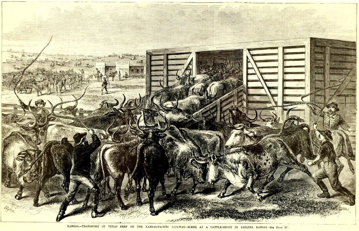 Zjeżdżalnia dla bydła w Abilene, Kansas, ok. 1930 r. 1871 (grawerowanie) autorstwa Frank Leslie