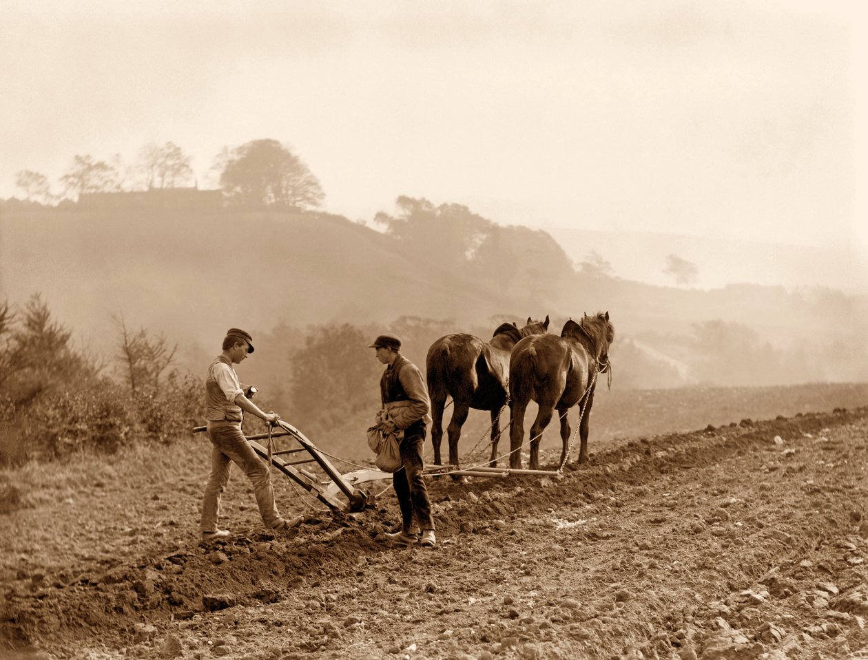 Rolnicy oranie pola na farmie Lealholm Hall w Whitby. c.1889 autorstwa Frank Meadow Sutcliffe