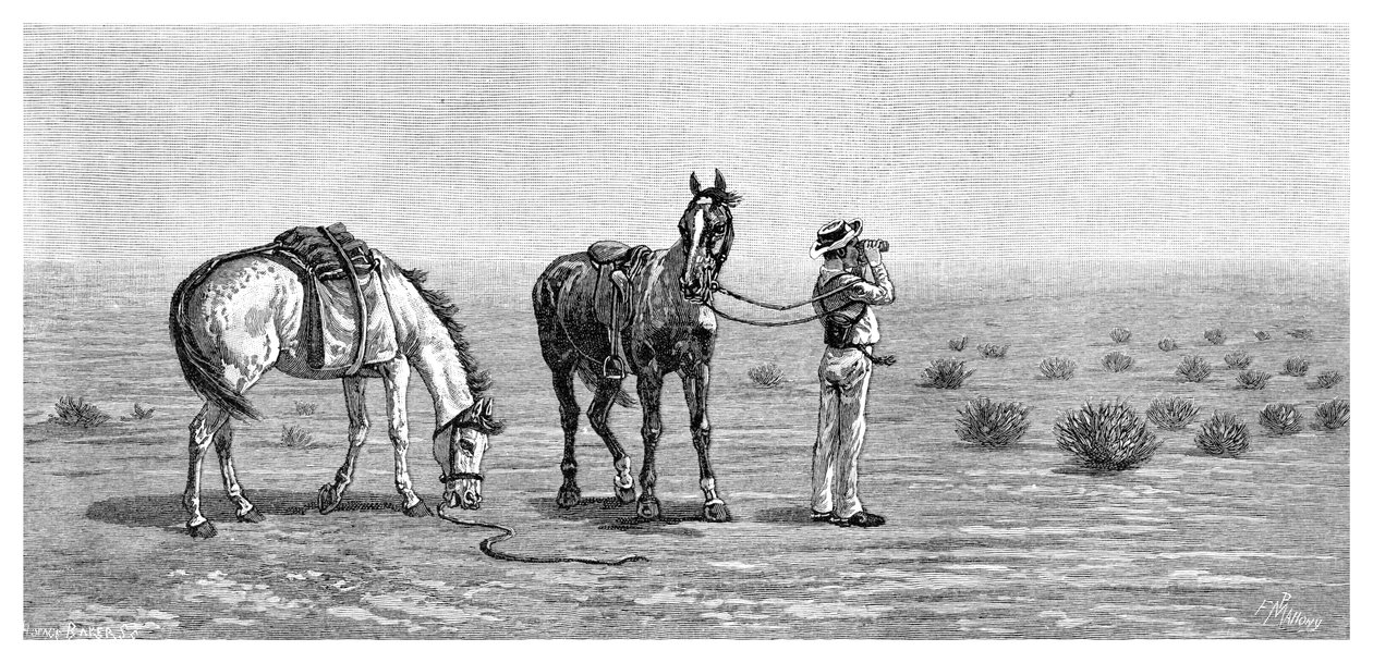 Nic w zasięgu wzroku, 1886. autorstwa Frank P. Mahony
