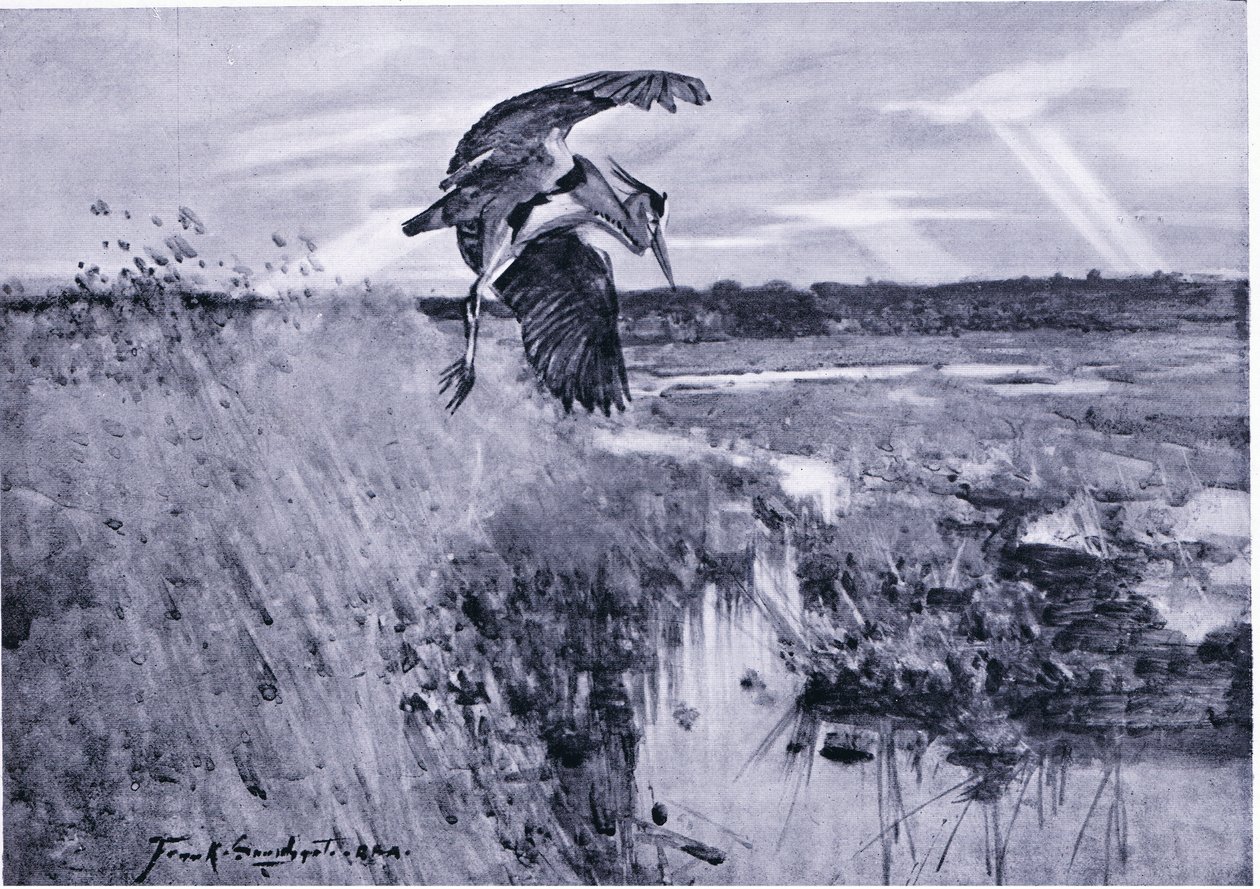 Jack Harnser-Heron autorstwa Frank Southgate