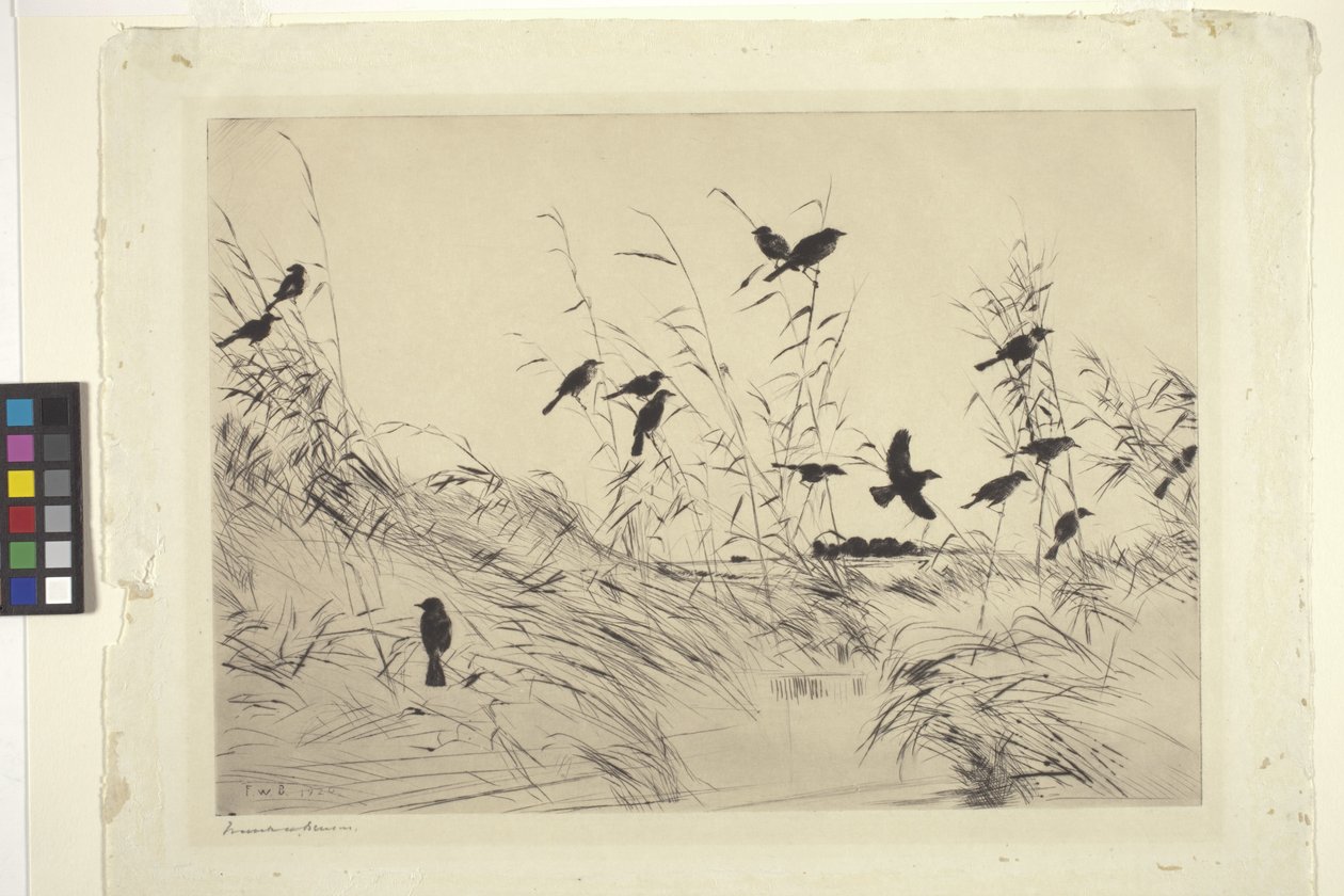Blackbirds And Rushes (atrament na papierze) autorstwa Frank Weston Benson