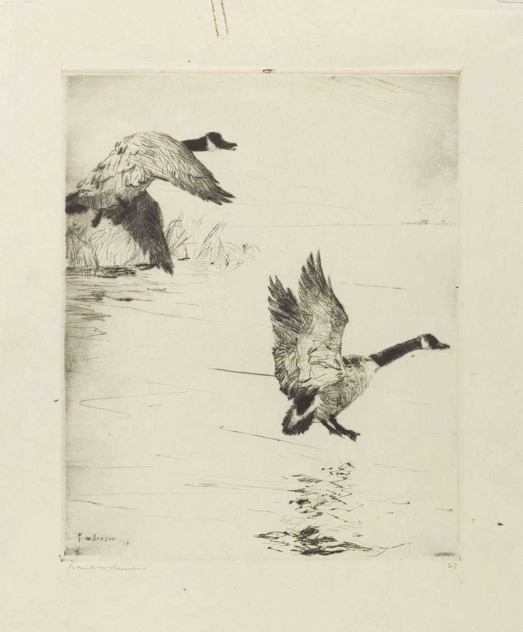 Gęsi wysiadają autorstwa Frank Weston Benson