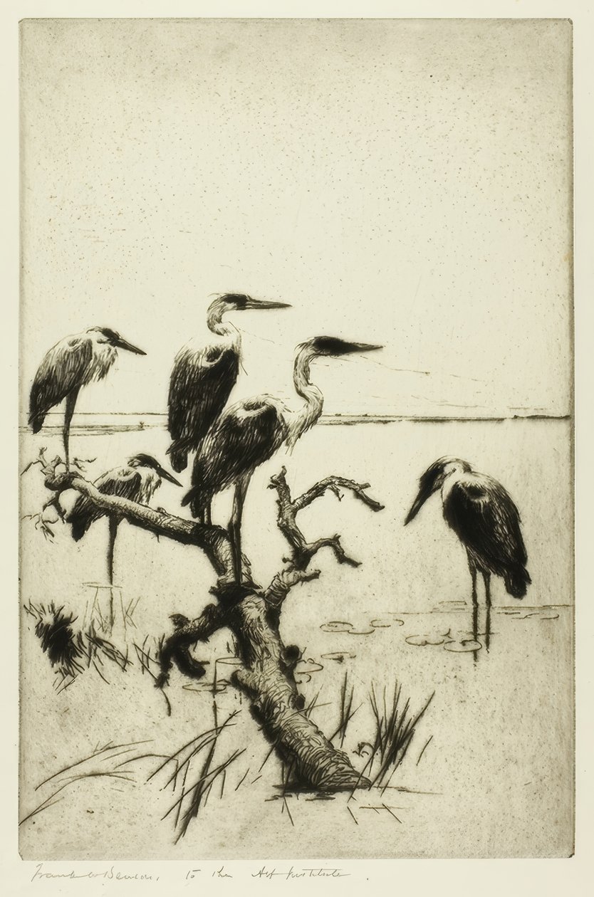 odpoczywające czaple autorstwa Frank Weston Benson