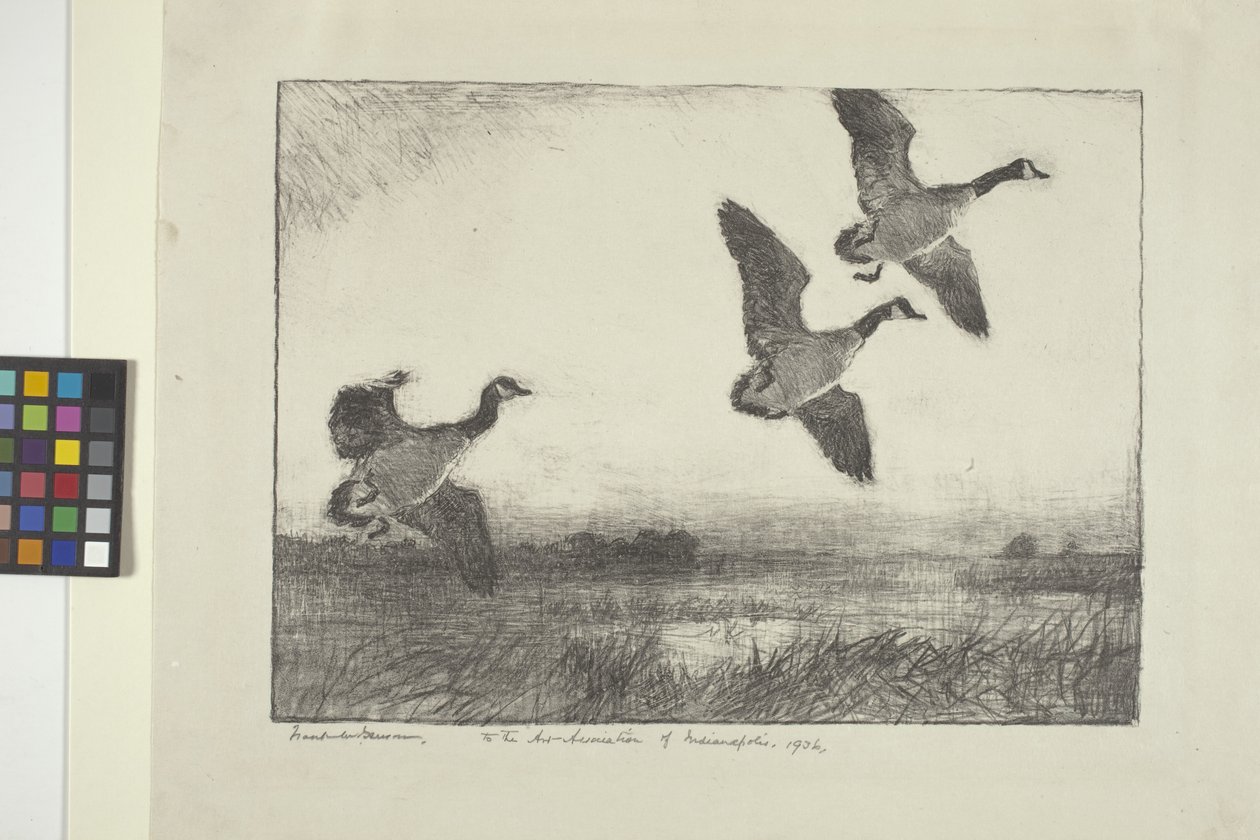 Trzy gęsi (tusz na papierze) autorstwa Frank Weston Benson