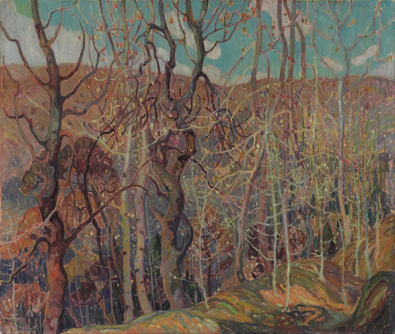 Srebrzysta plątanina autorstwa Franklin Carmichael