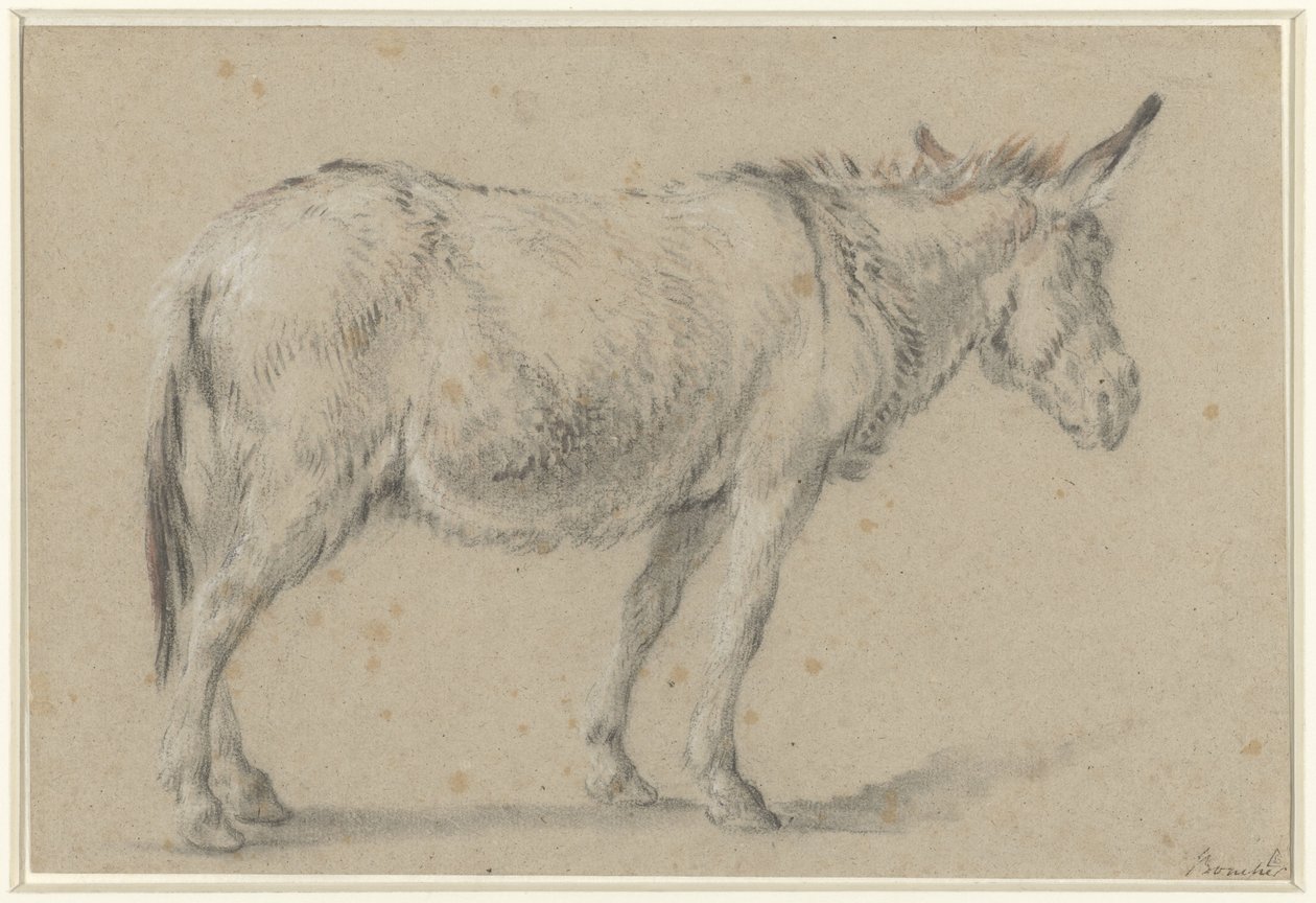 Stojący osioł, zwrócony w prawo autorstwa François Boucher (possibly)