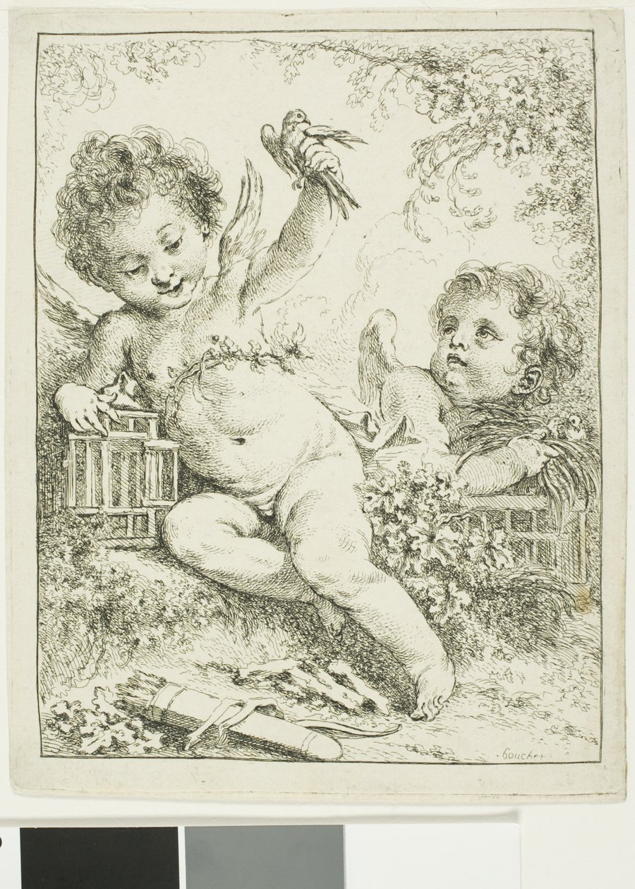 Dwa putti z ptakiem autorstwa François Boucher