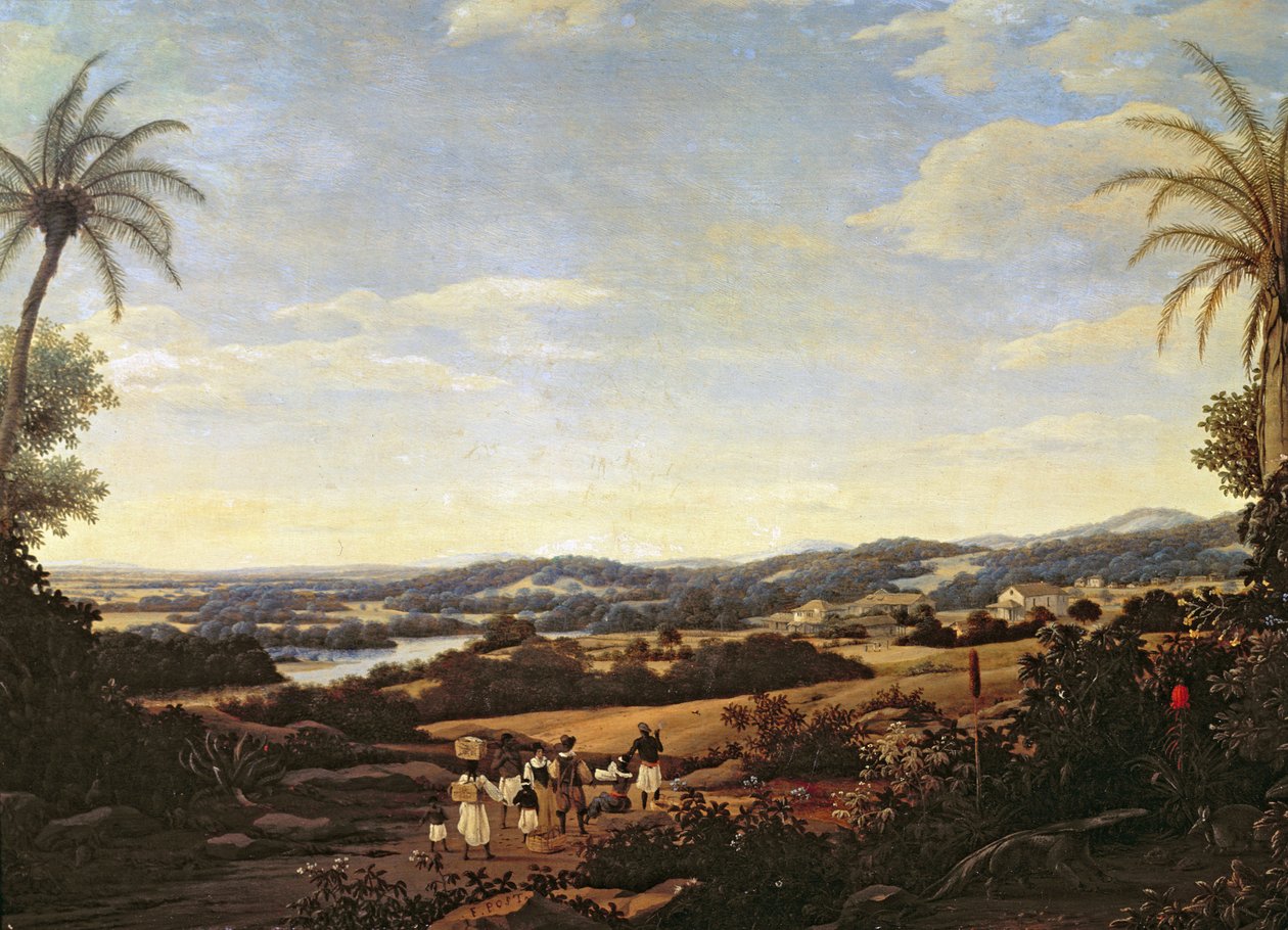 Brazylijski pejzaż z plantacją autorstwa Frans Post