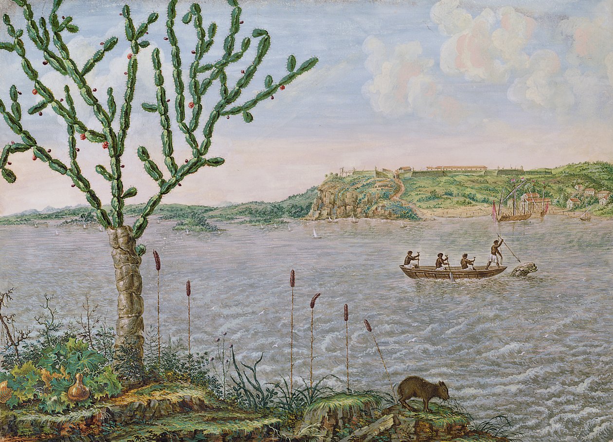 Widok Fort Maurice na Rio San Francisco (pióro i atrament i toaleta na papierze) autorstwa Frans Post