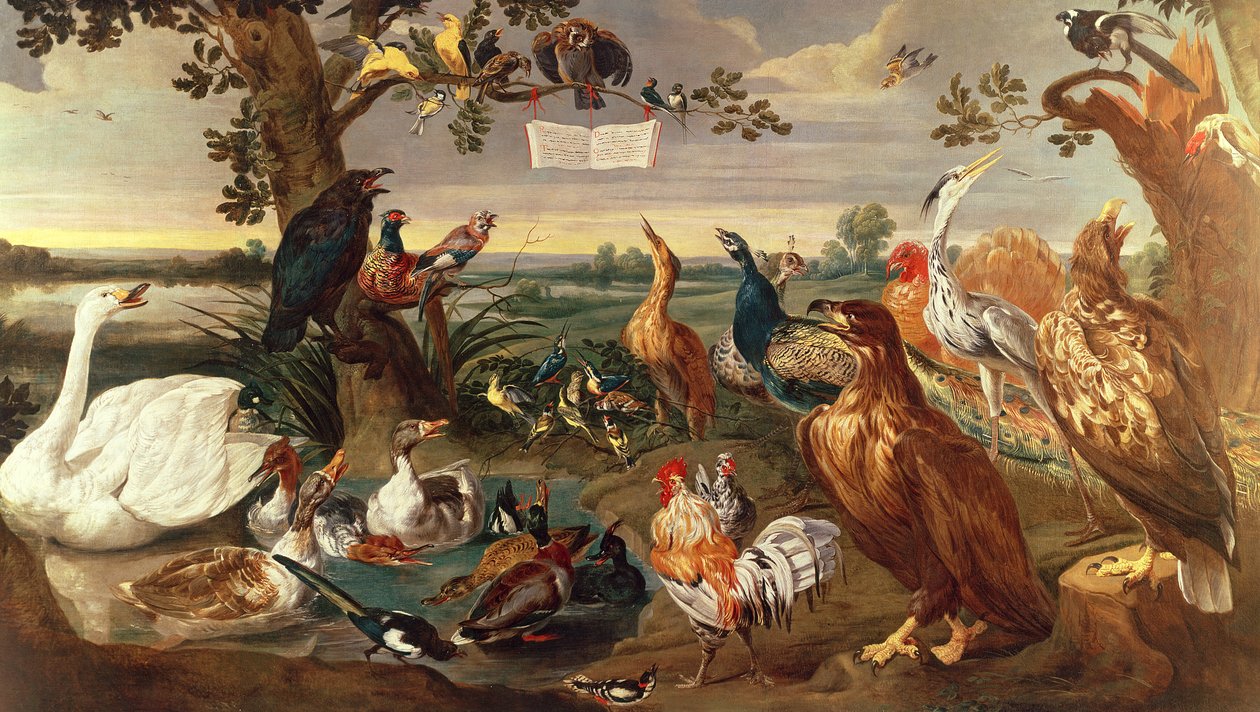 Różne ptaki autorstwa Frans Snyders or Snijders