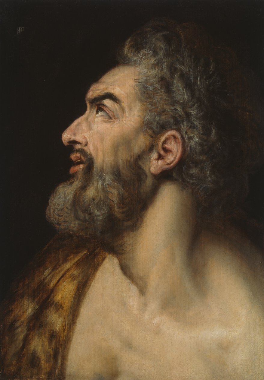 Studium głowy brodatego mężczyzny autorstwa Frans Floris I