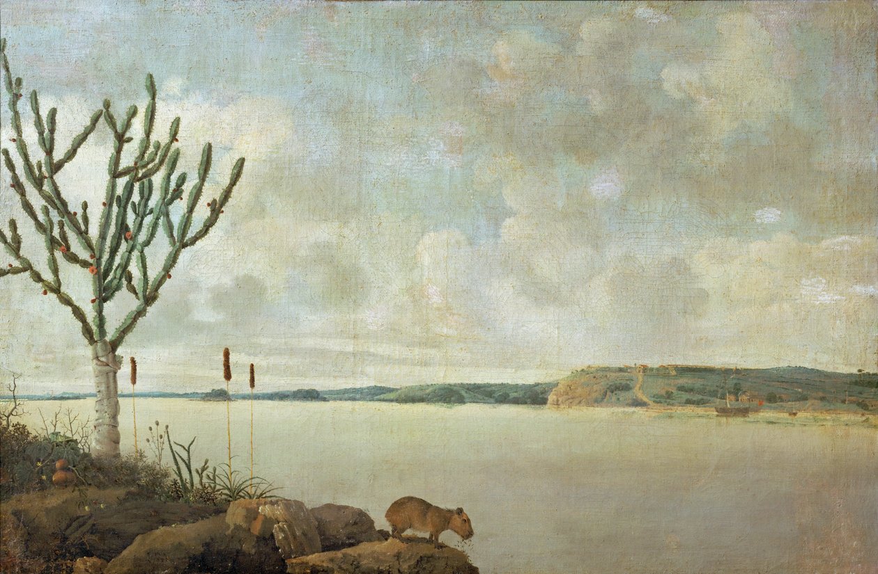 Le Rio Sao Francisco i Fort Maurice, Brazylia ... autorstwa Frans Jansz Post