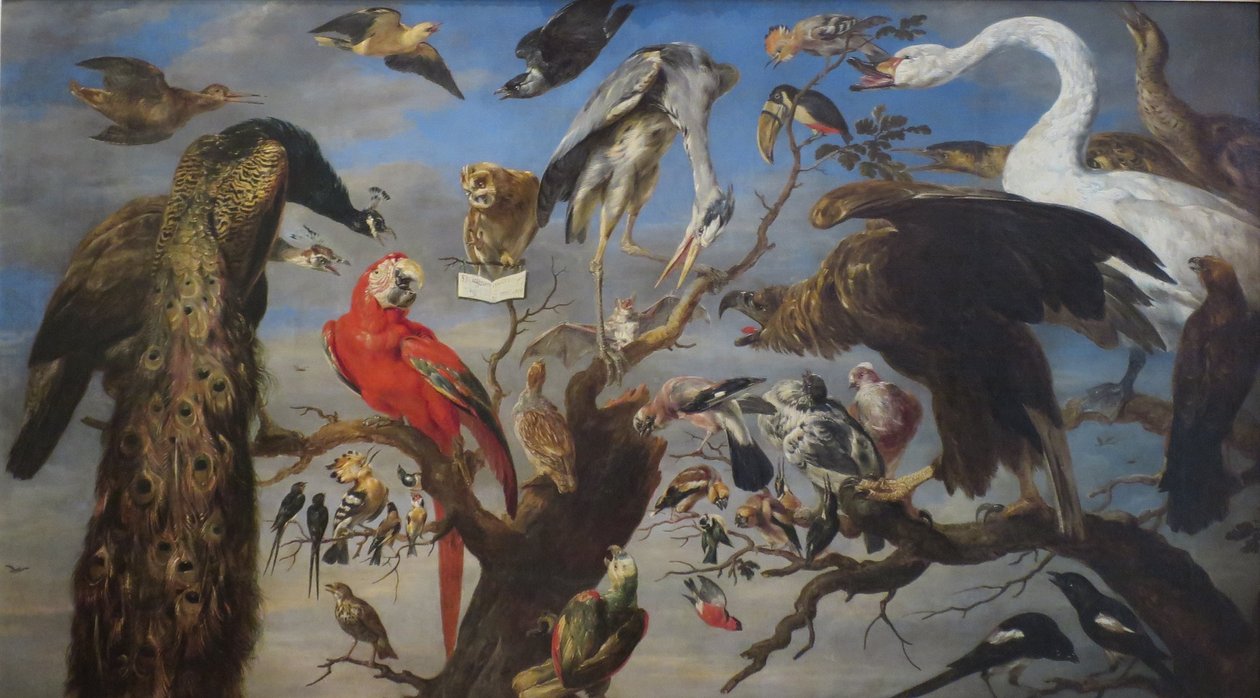 Koncert ptaków autorstwa Frans Snyders