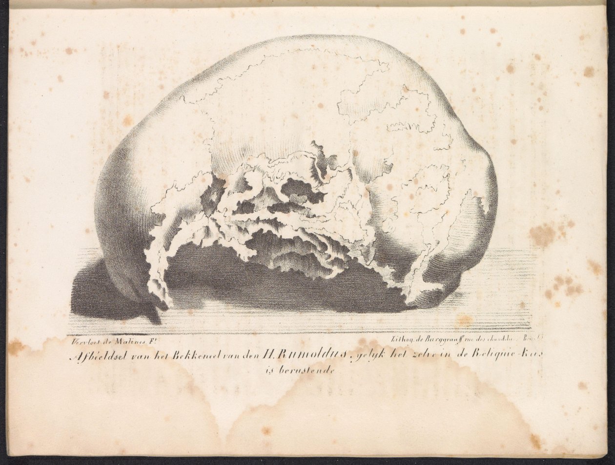 Czaszka Świętego Rumbolda, 1825 Przedstawienie miednicy św. Rumoldusa w postaci zrezygnowanego Reliquie-Kas (tytuł na obiekcie) autorstwa Frans Vervloet
