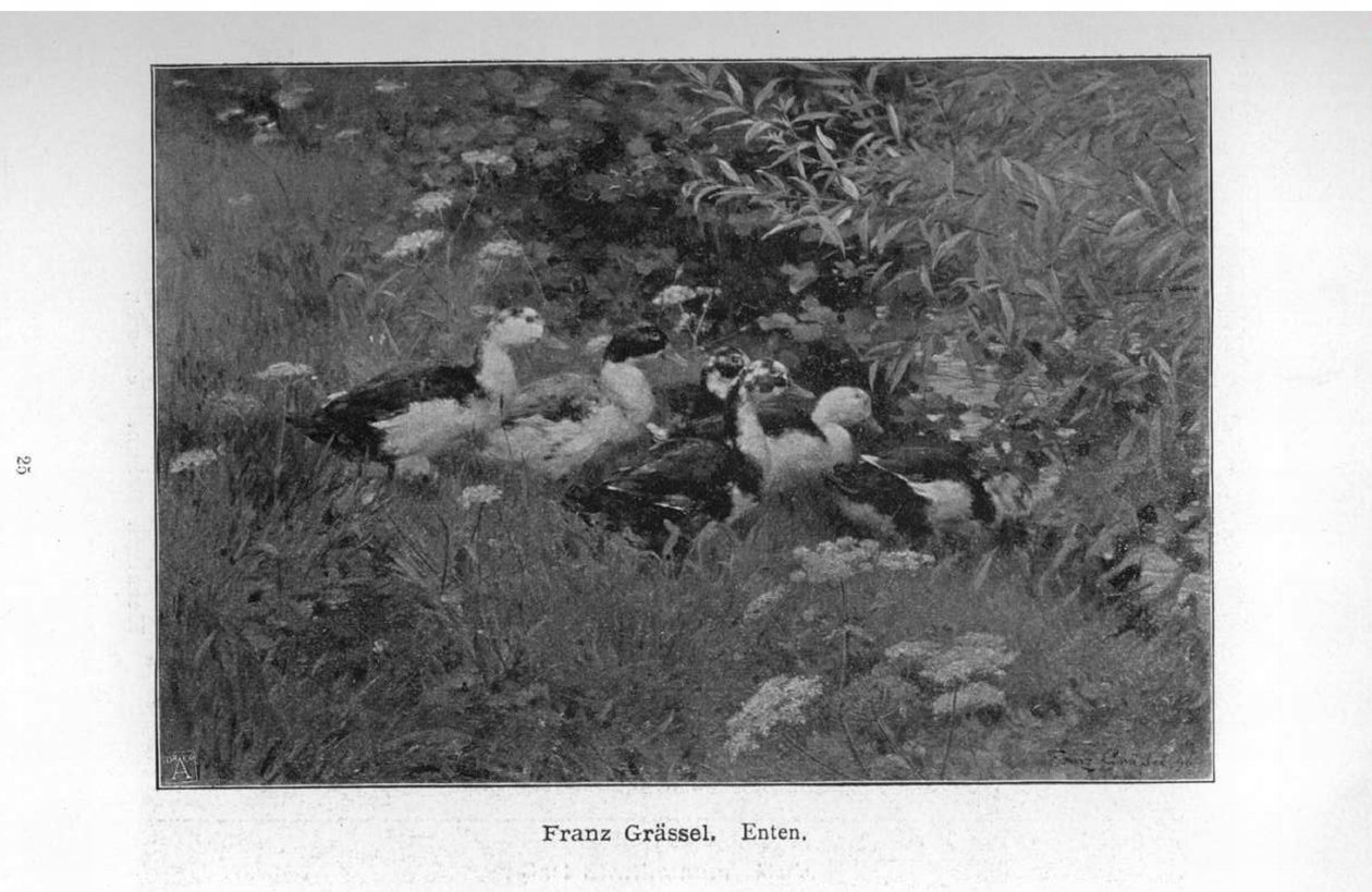 Albo autorstwa Franz Grassel