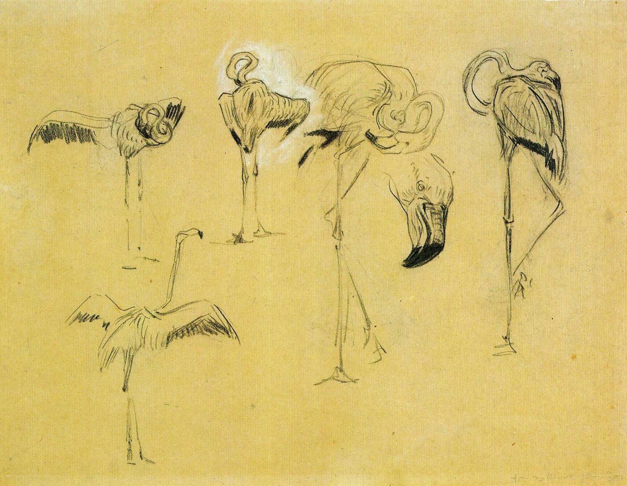 Flamingi autorstwa Franz Marc