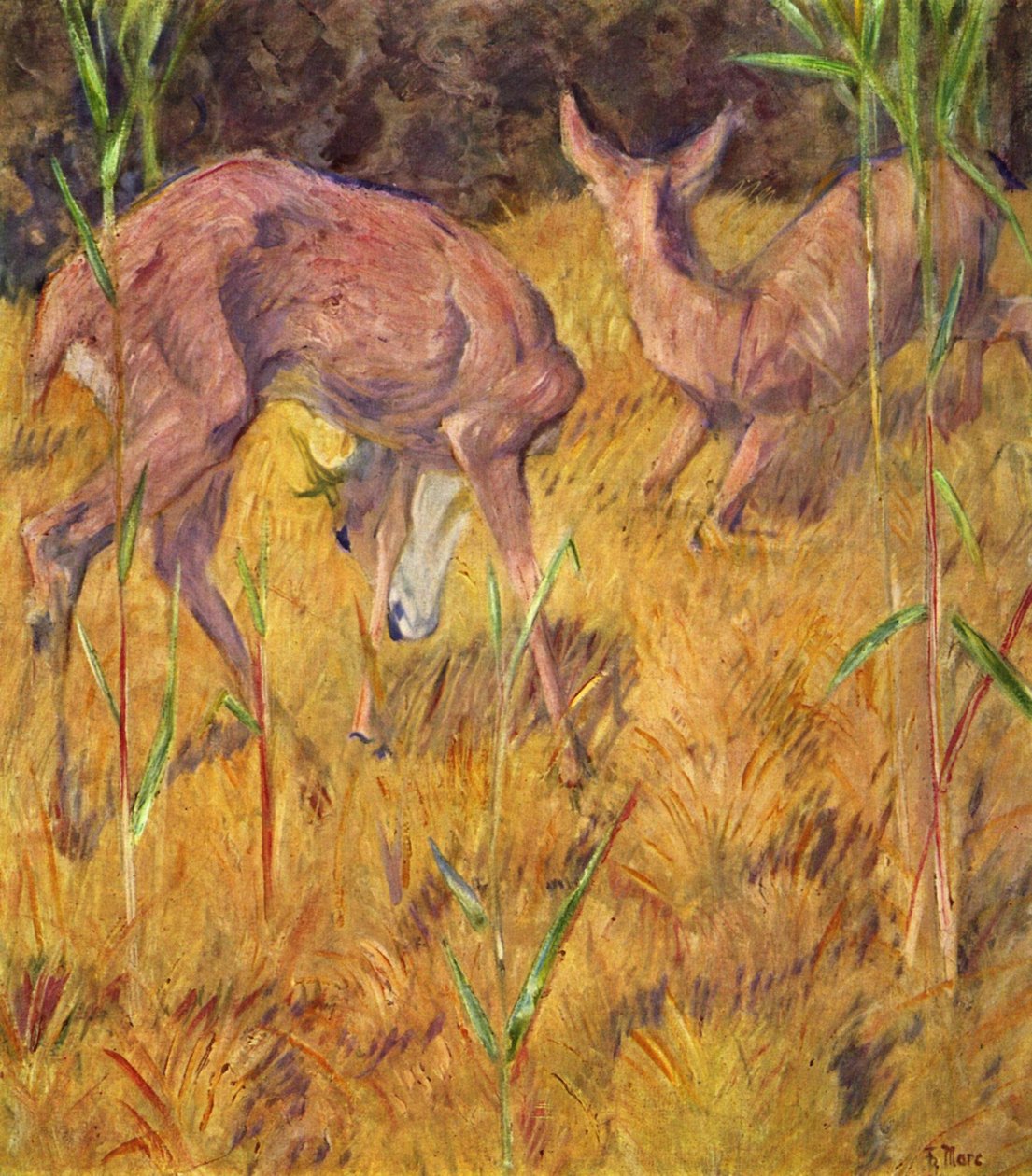 Jeleń w trzcinach autorstwa Franz Marc