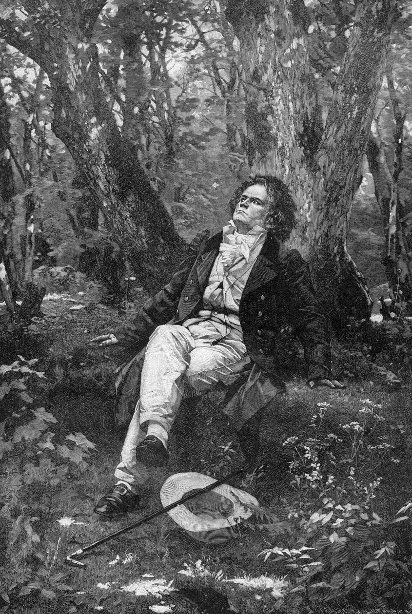 Beethoven, 1906 autorstwa Franz Hanfstaengl