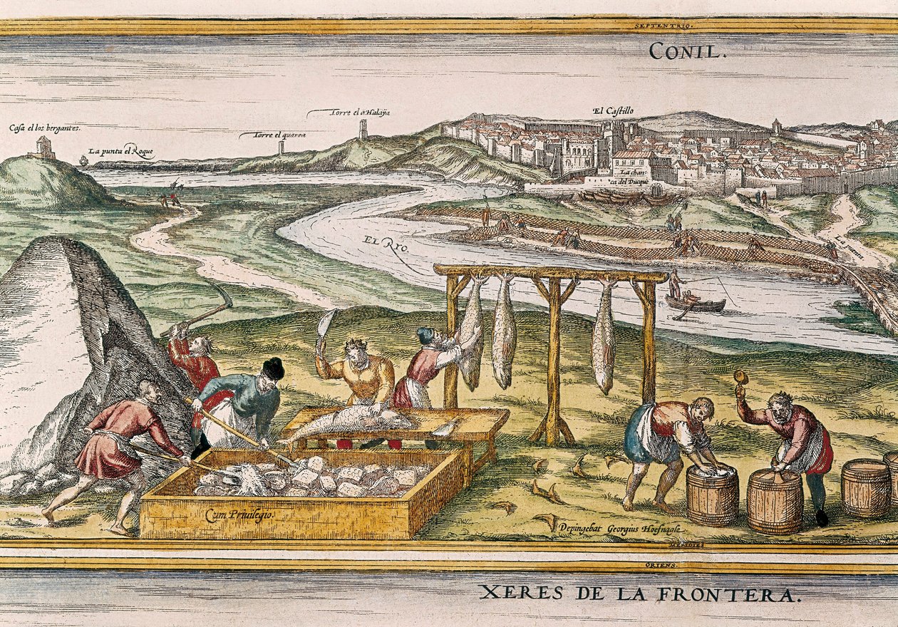 Conil de la Frontera, rybacy suszą ryby, kroją, sprzedają i pakują do beczek na sprzedaż, z "Civitatis Orbis Terrarum" autorstwa Franz Hogenberg