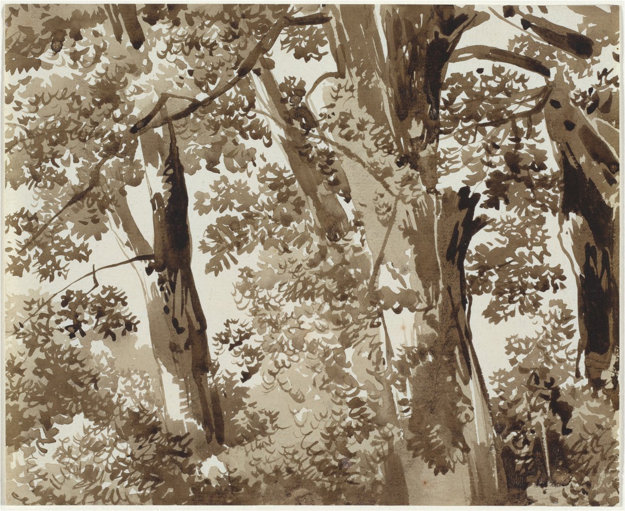 Drzewa z gęstym podszyciem autorstwa Franz Innocenz Josef Kobell